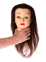 Image showing Hand holding a puppet (hair styling)