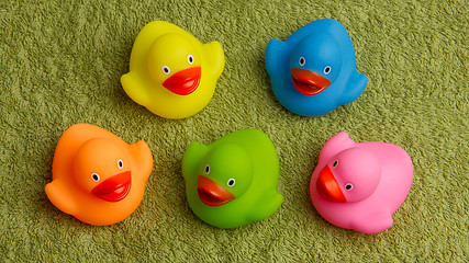 Image showing Rubber ducks isolated