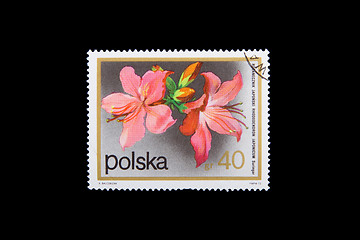 Image showing POLAND - CIRCA 1990: Stamps printed by Poland, shows flowers of 