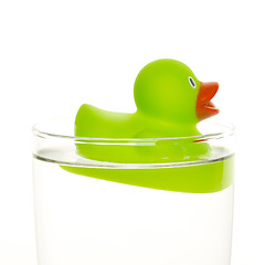 Image showing Green duck