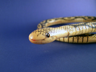 Image showing wooden snake