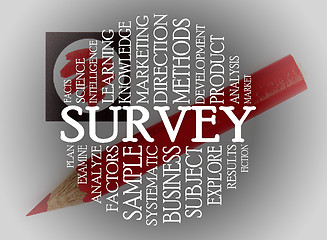 Image showing Survey cloud concept