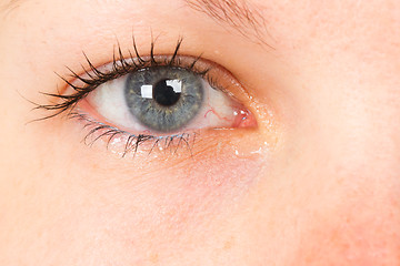 Image showing Women eye, close-up, blue, tear