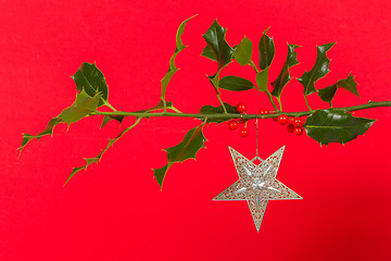 Image showing Old silver star hanging in Butcher's broom