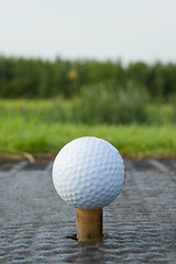 Image showing Golf ball with rubber tee