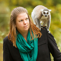 Image showing Ring-tailed lemur sitting on a womans shoulder