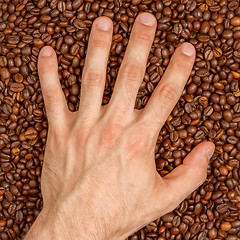 Image showing Coffee beans in hand