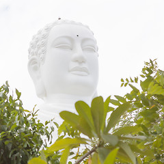 Image showing Buddha, landmark on Nha Trang, Vietnam 