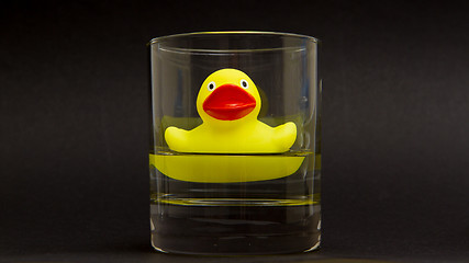 Image showing Yellow rubber duck in a whiskyglass 