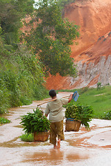 Image showing MUI NE, VIETNAM, 26 JULY 2012 - A Vietnamese farmer (woman) her 