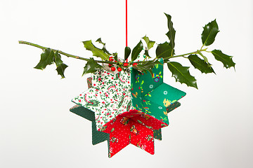 Image showing Butcher's broom and christmas decoration, isolated