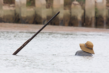 Image showing A vietnamese fisherman is searching for snakes and shells in the