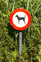 Image showing Old damaged sign in the bushes - dogs forbidden