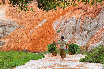 Image showing MUI NE, VIETNAM, 26 JULY 2012 - A Vietnamese farmer (woman) her 