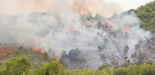 Image showing Starting forrest fire with lots of smoke