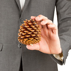 Image showing Man in grey suit is holding a pine cone