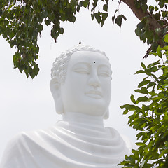 Image showing Buddha, landmark on Nha Trang, Vietnam 