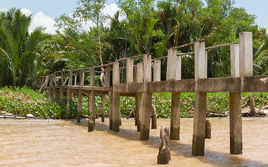 Image showing Concrete bridge into the jungle