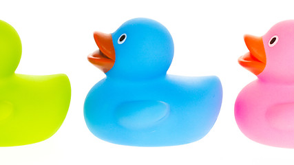 Image showing Rubber ducks isolated