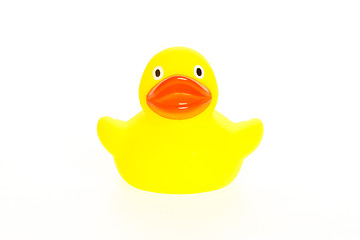 Image showing Yellow duck isolated