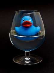 Image showing Blue rubber duck in a cognacglass 