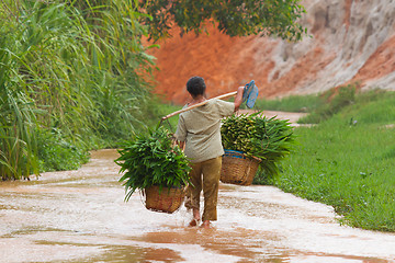 Image showing MUI NE, VIETNAM, 26 JULY 2012 - A Vietnamese farmer (woman) her 