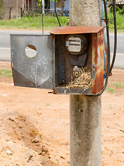 Image showing Nest of a sparrow in a cabinet with electrical meter 