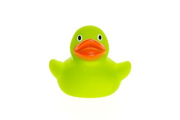 Image showing Green duck isolated
