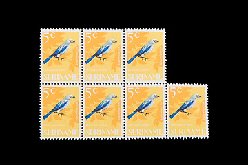 Image showing SURINAME - CIRCA 1960: Stamps printed by Suriname, shows a blue 