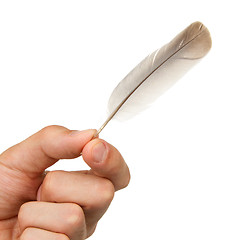 Image showing Man holding a small feather
