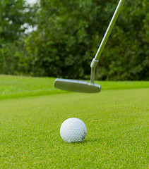 Image showing Golf ball on front of a driver