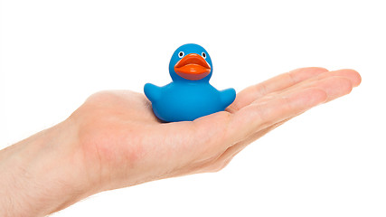 Image showing Blue rubber duck on a hand
