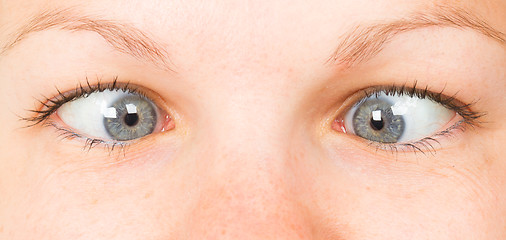 Image showing Women eye, close-up, blue