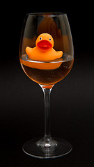 Image showing Orange rubber duck in a wineglass