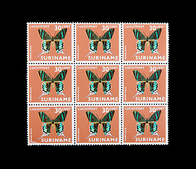 Image showing SURINAME - CIRCA 1960: Stamps printed by Suriname, shows butterf