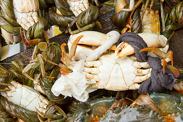 Image showing Crab for cunsumption on a Vietnamese market