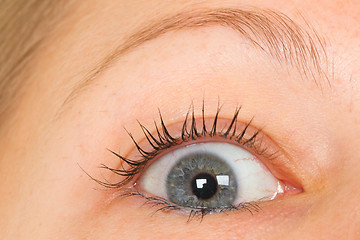 Image showing Women eye, close-up, blue