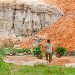 Image showing MUI NE, VIETNAM, 26 JULY 2012 - A Vietnamese farmer (woman) her 