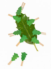 Image showing Small clothes pin with a christmas tree on a leaf (butchers broo