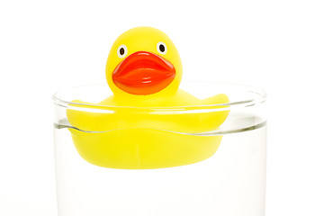 Image showing Yellow duck