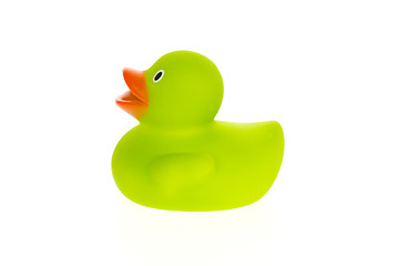 Image showing Green duck isolated