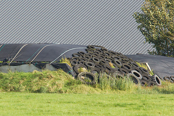 Image showing Haylage under plastic and car tires