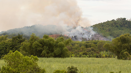 Image showing Starting forrest fire with lots of smoke