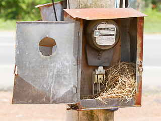 Image showing Nest of a sparrow in a cabinet with electrical meter 
