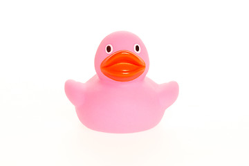 Image showing Pink duck isolated
