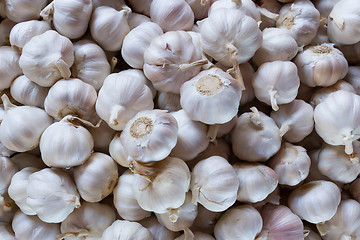 Image showing Close up of garlic on market stand