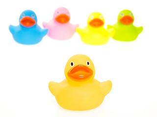 Image showing Rubber ducks isolated