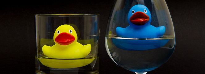 Image showing Blue and yellow rubber duck in glasses