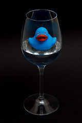 Image showing Blue rubber duck in a wineglass