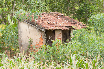 Image showing Old abandoned stone cabin in the jungle